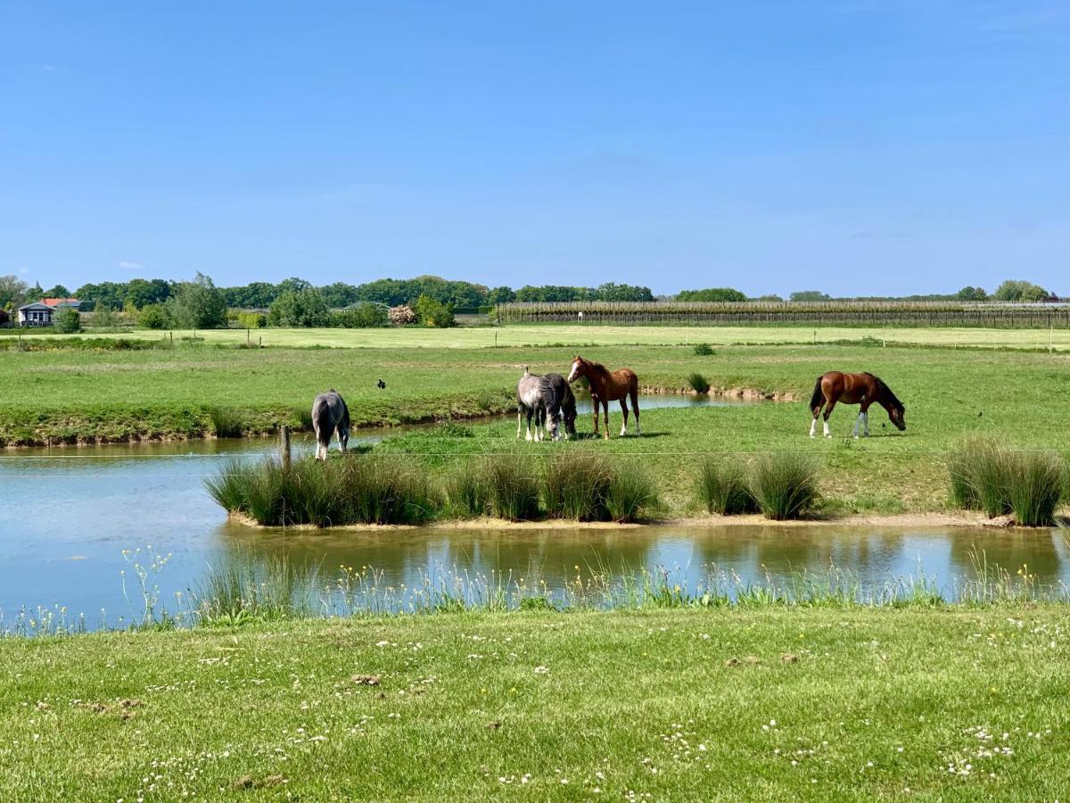 Safaritent Mini Lodge Kesteren Buitenkant foto